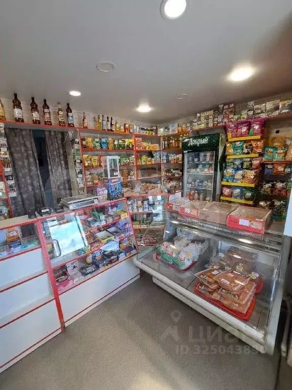 Дом в Курганская область, Каргапольский муниципальный округ, Красный ... - Фото 2