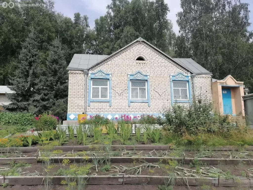 Дом в Преображенский сельсовет, деревня Игинка, Лесная улица (48.1 м) - Фото 1