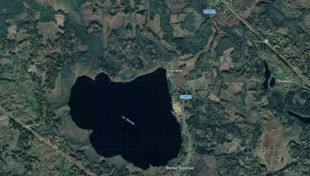 Участок в Новгородская область, Окуловский муниципальный район, ... - Фото 2