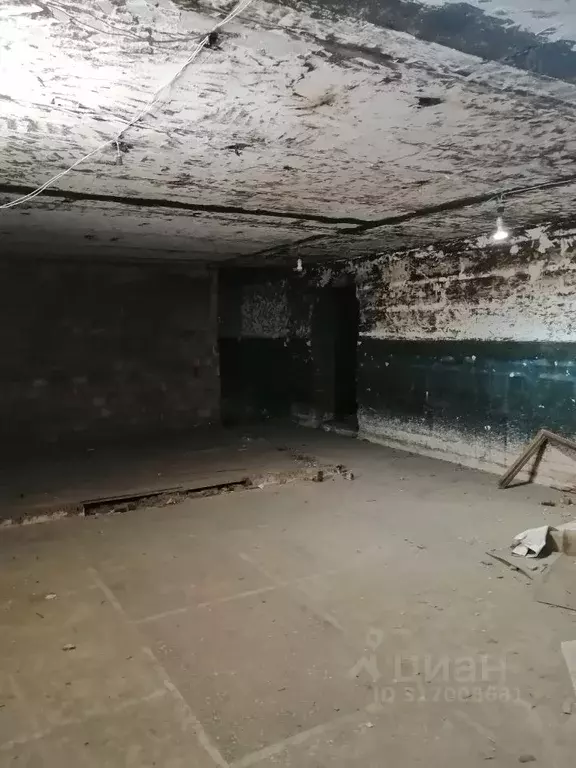 Помещение свободного назначения в Омская область, Омск Привокзальный ... - Фото 1