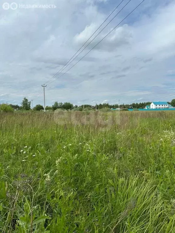 Участок в Тяжино, Фруктовая улица, 21 (591 м) - Фото 0