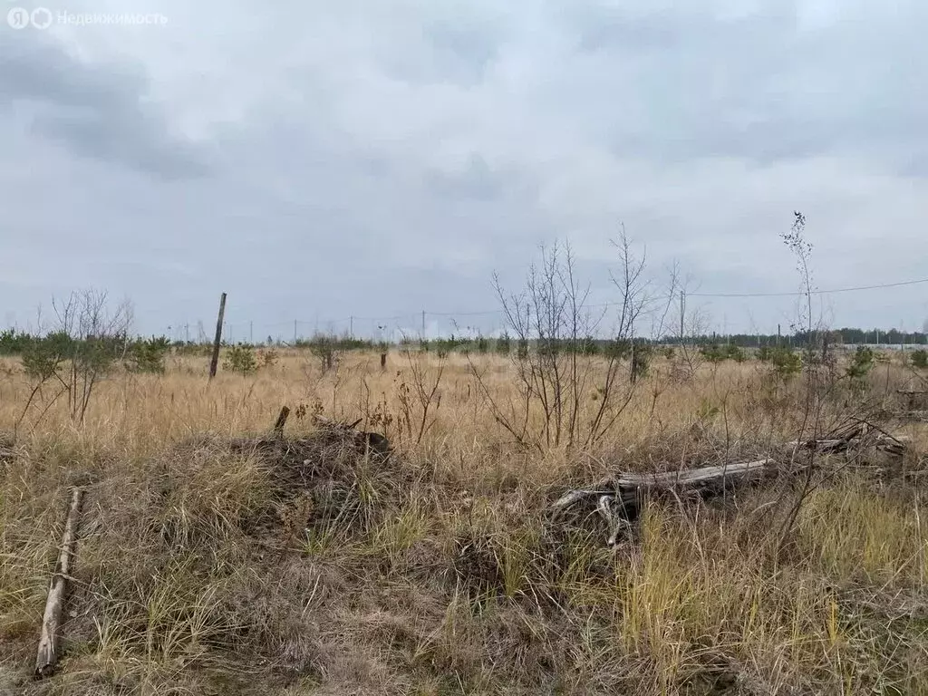 Участок в деревня Медовка, улица Сержанта Белодедова (10.43 м) - Фото 0