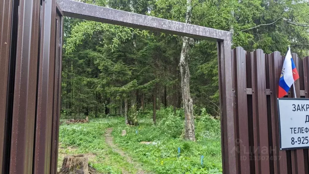 Участок в Московская область, Солнечногорск городской округ, ... - Фото 1