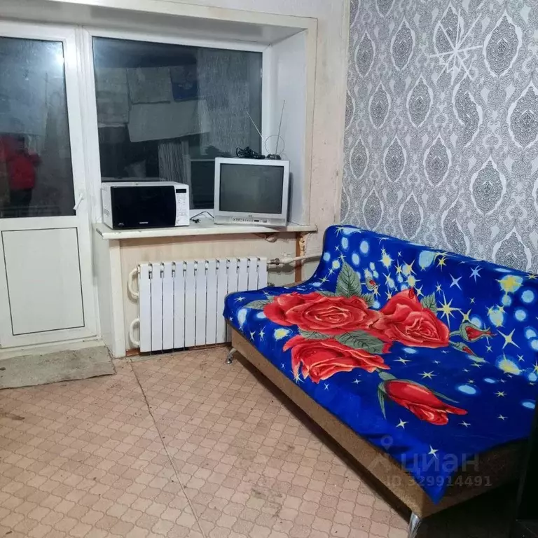 Комната Алтайский край, Барнаул ул. Чудненко, 108 (12.0 м) - Фото 1