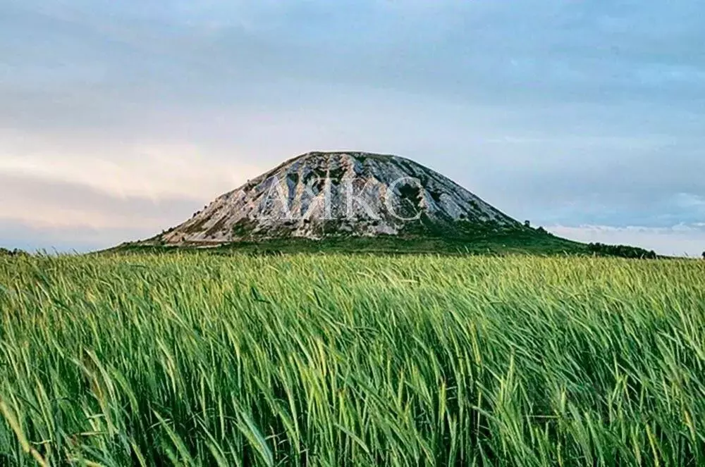 Участок в Башкортостан, Ишимбайский район, с. Ишеево  (10.0 сот.) - Фото 0