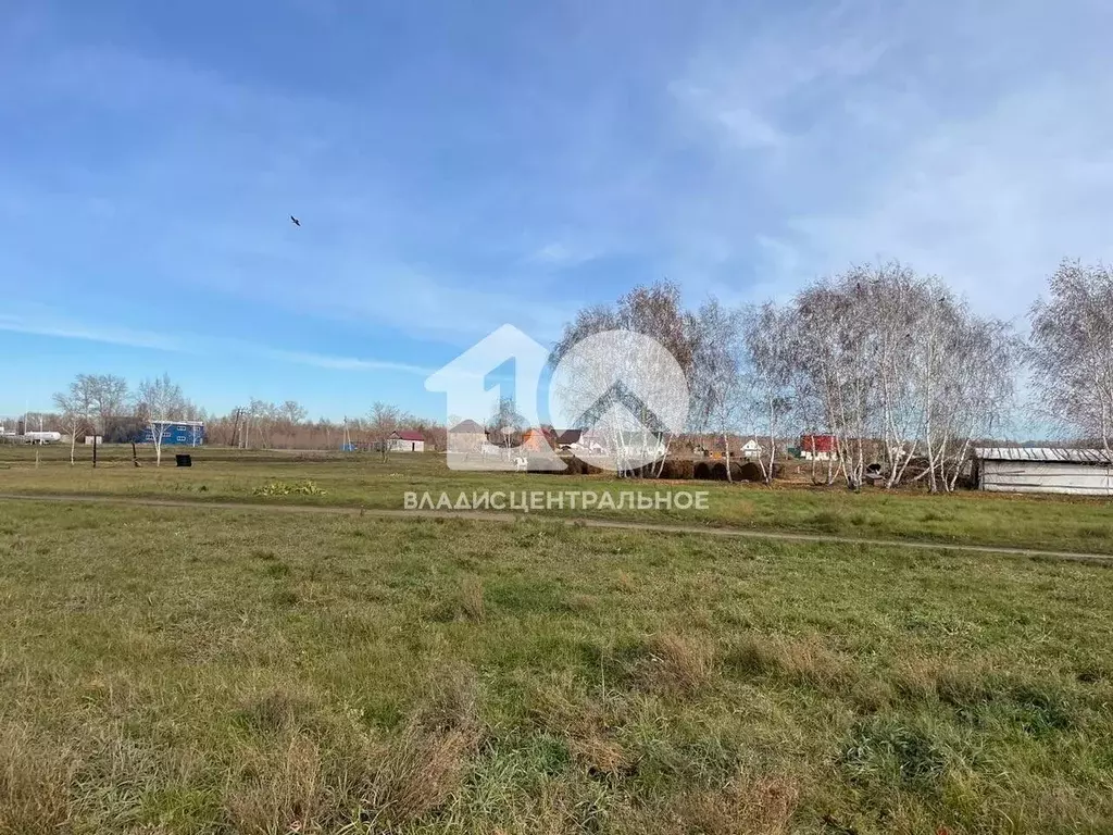 Участок в Новосибирская область, Новосибирский район, с. Ярково ... - Фото 1