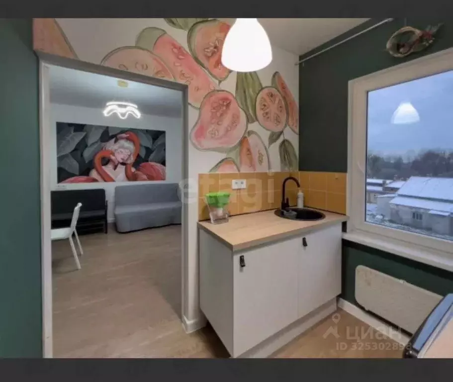 1-к кв. Калининградская область, Черняховск Театральная ул., 18 (29.8 ... - Фото 1