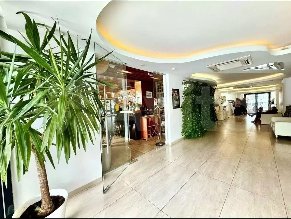 Студия Крым, Ялта муниципальный округ, Гурзуф пгт ул. Ялтинская, 14 ... - Фото 2