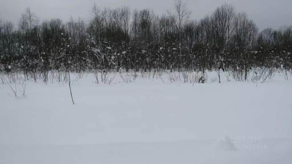 Участок в Московская область, Рузский муниципальный округ, д. ... - Фото 0