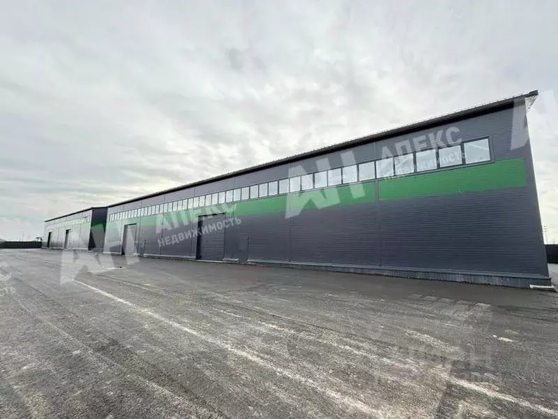 Склад в Московская область, Домодедово Барыбино мкр, ул. ... - Фото 1