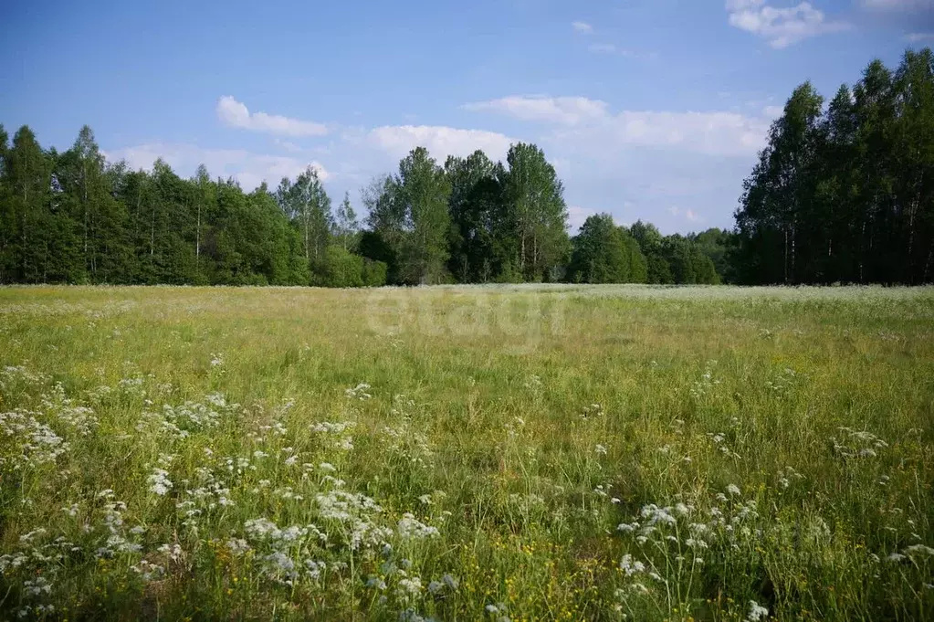Участок в Псковская область, Опочецкий муниципальный округ, д. ... - Фото 2