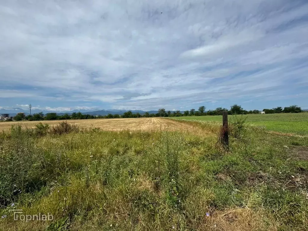 Участок в Кабардино-Балкария, Чегемский район, с. Шалушка ул. Имени ... - Фото 1