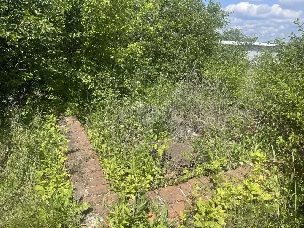Участок в Белгородская область, Белгородский район, Северный городское ... - Фото 1