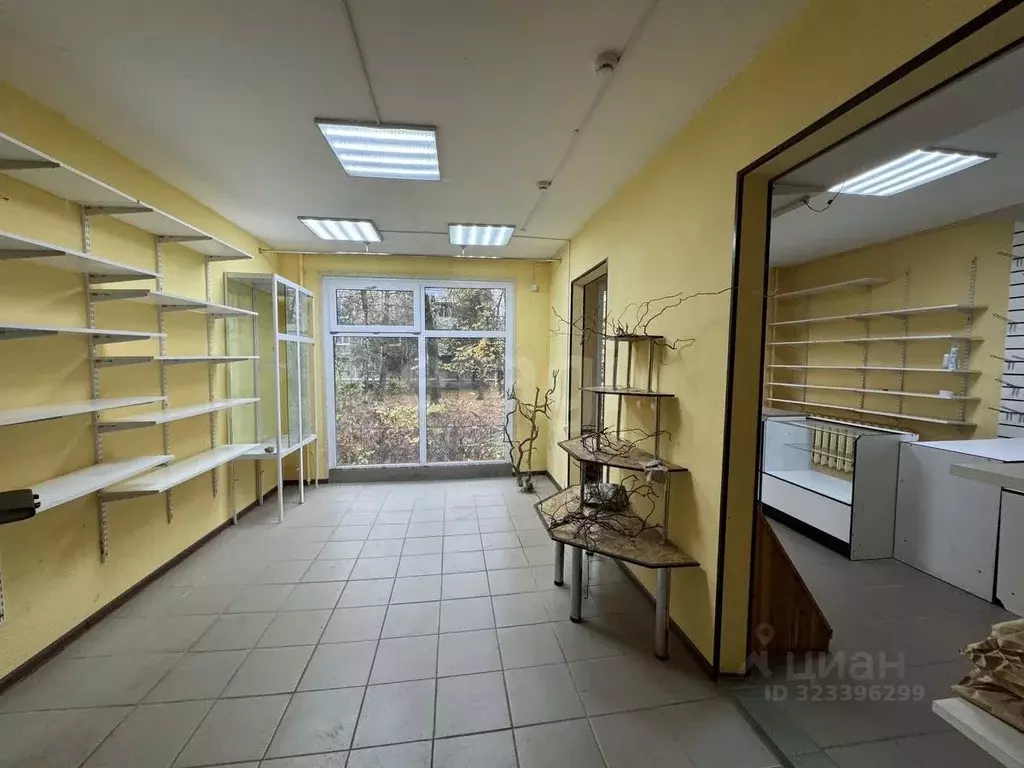 Помещение свободного назначения в Смоленская область, Смоленск ул. ... - Фото 1