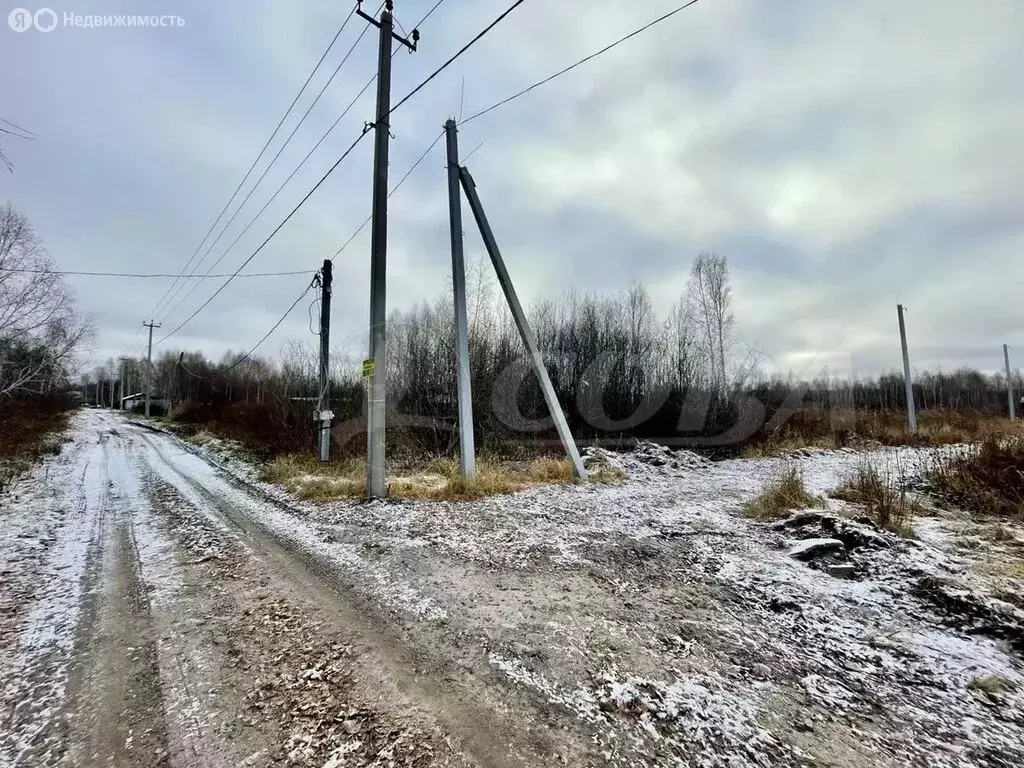 Участок в Тюменская область, Нижнетавдинский муниципальный округ, СНТ ... - Фото 1