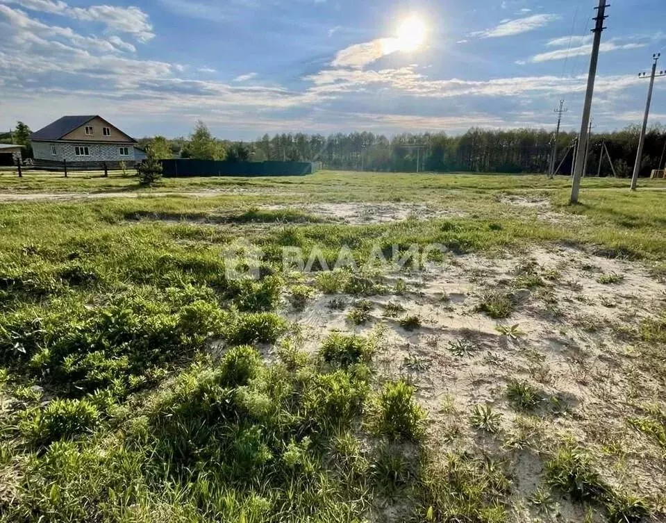 Участок в Пензенская область, Бессоновский район, Сосновский ... - Фото 0