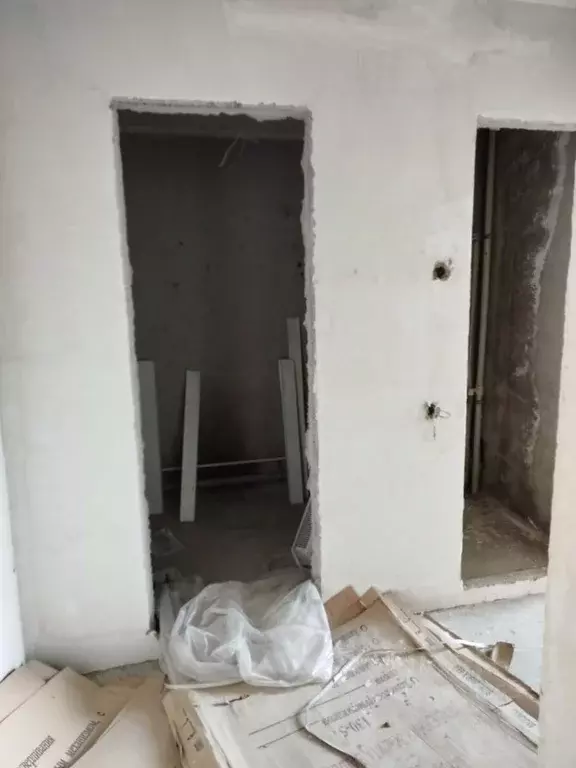 Свободной планировки кв. Новосибирская область, Новосибирск ул. В. ... - Фото 2