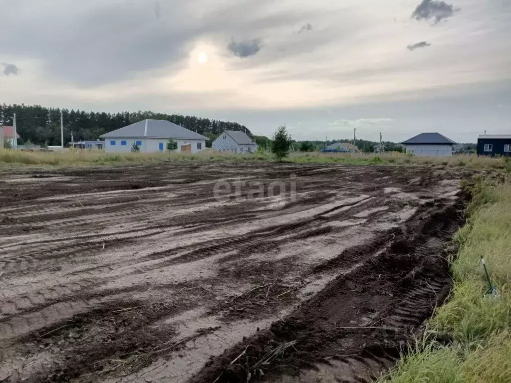 Участок в Новосибирская область, Бердск ул. Валерия Чкалова (10.9 ... - Фото 0