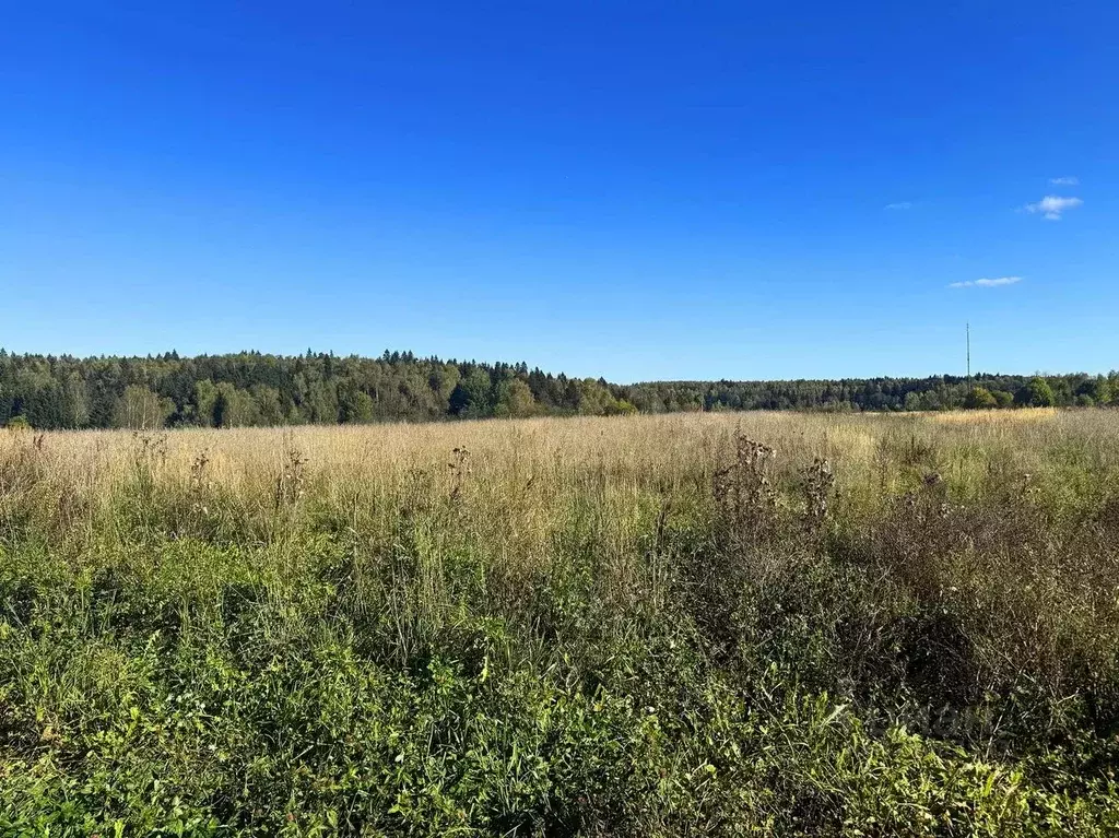 Участок в Московская область, Домодедово городской округ, пос. ... - Фото 2