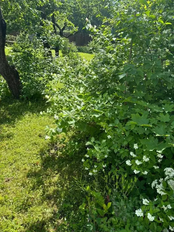 Участок в Московская область, Раменский городской округ, Молодая ... - Фото 1