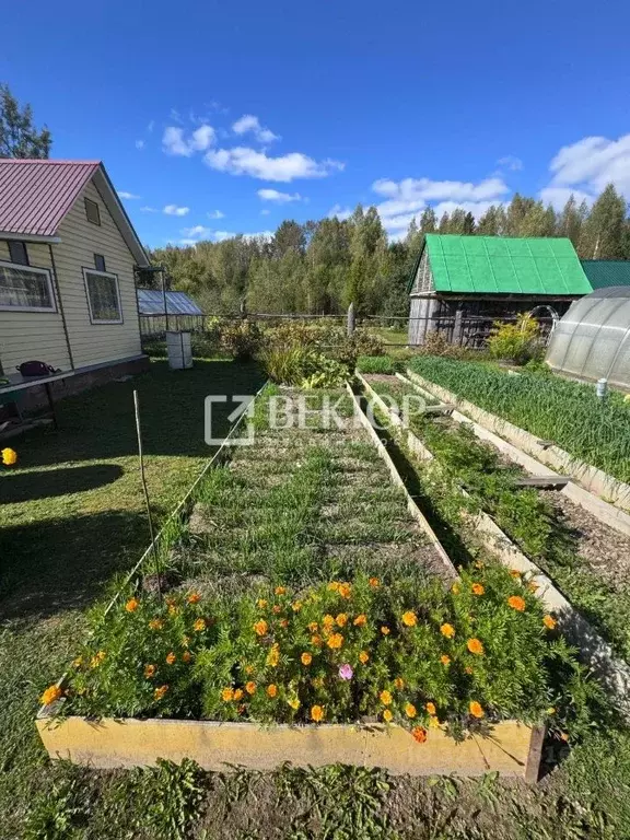 Дом в Костромская область, Красносельский район, Чапаевское с/пос, ... - Фото 1