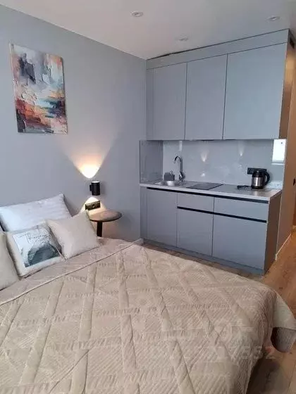 Студия Санкт-Петербург просп. Энергетиков, 2к2 (25.0 м) - Фото 1