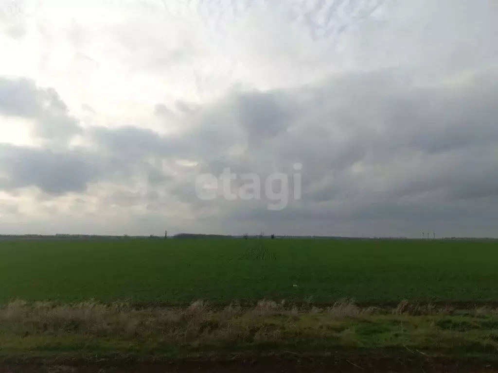 Участок в Первомайский район, Кормовское сельское поселение, село ... - Фото 1