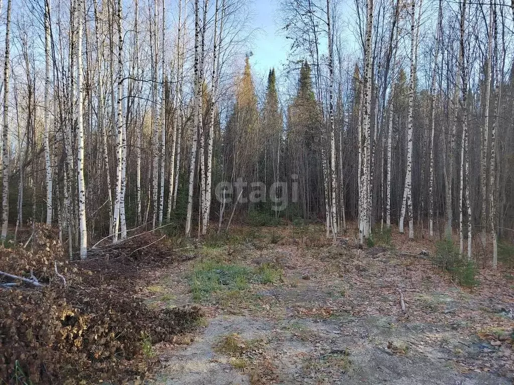 Участок в Ханты-Мансийский АО, Ханты-Мансийск Ясная Поляна СОТ,  (10.0 ... - Фото 0