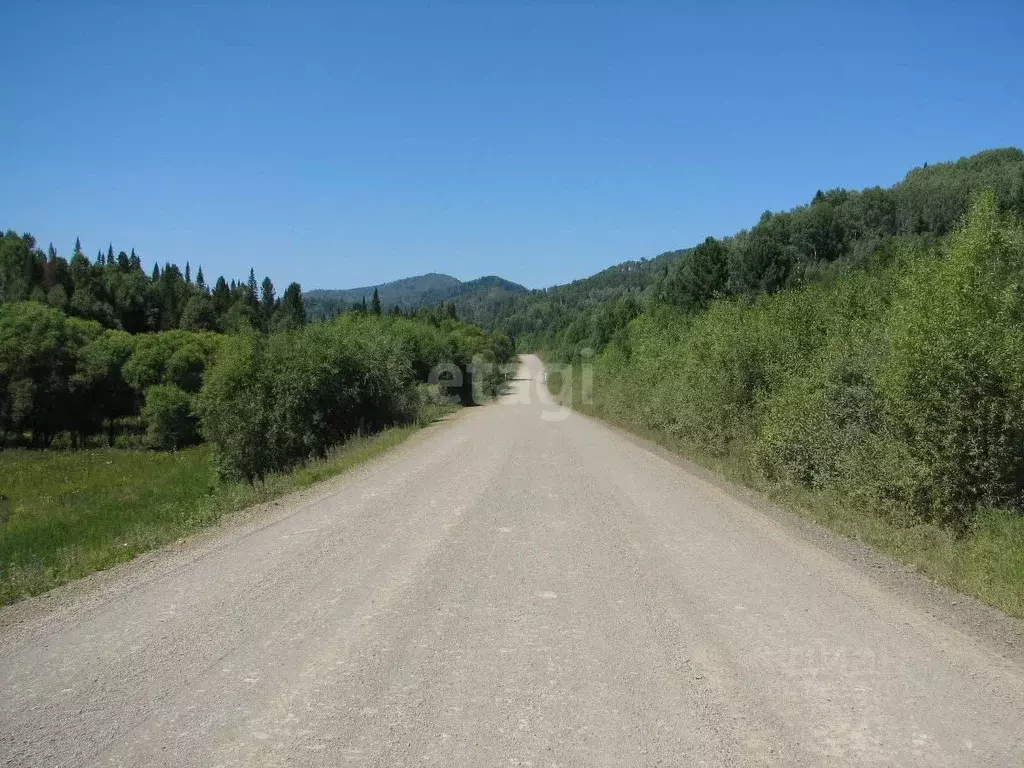 Участок в Алтай, Чойский район, с. Каракокша Заречная ул. (16.6 сот.) - Фото 1