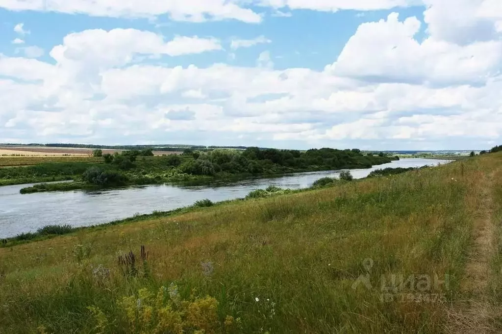 Участок в Липецкая область, Хлевенский район, с. Елец-Маланино  ... - Фото 0