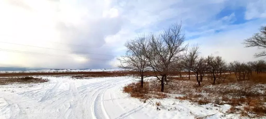 Участок в Хакасия, Ширинский район, с. Соленоозерное  (300.0 сот.) - Фото 0