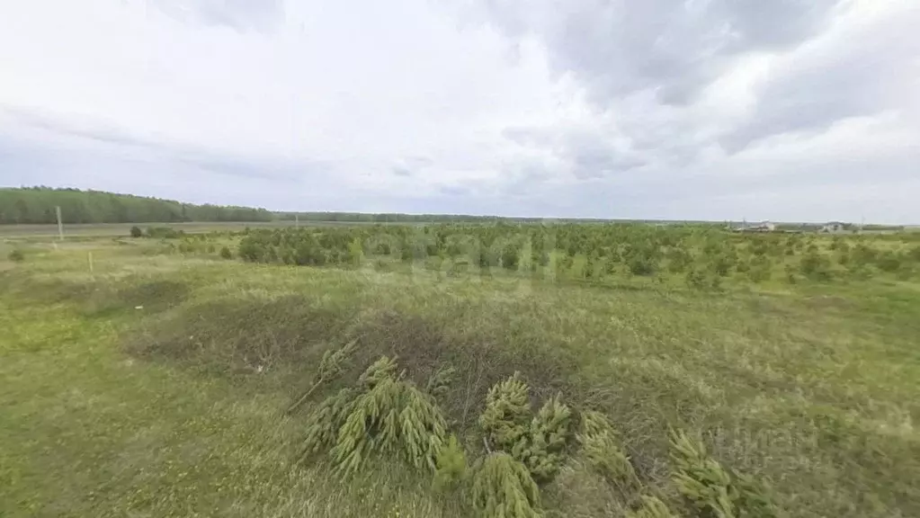 Участок в Тюменская область, Тюменский район, с. Кулига, Кулига-2 мкр  ... - Фото 0