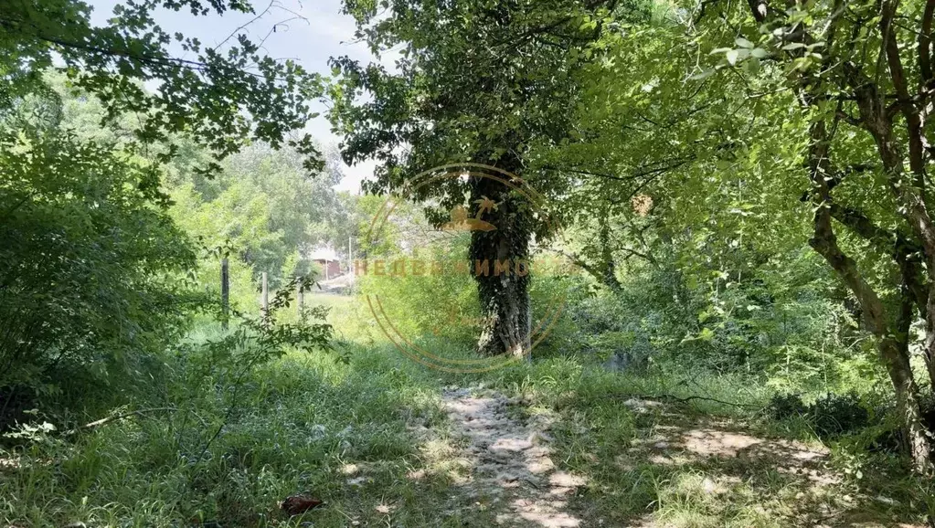 Участок в Крым, Ялта муниципальный округ, пос. Горное ул. Лесная (15.0 ... - Фото 1