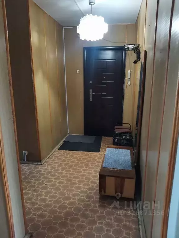 2-к кв. Ленинградская область, Сланцы Спортивная ул., 9/2 (52.0 м) - Фото 1