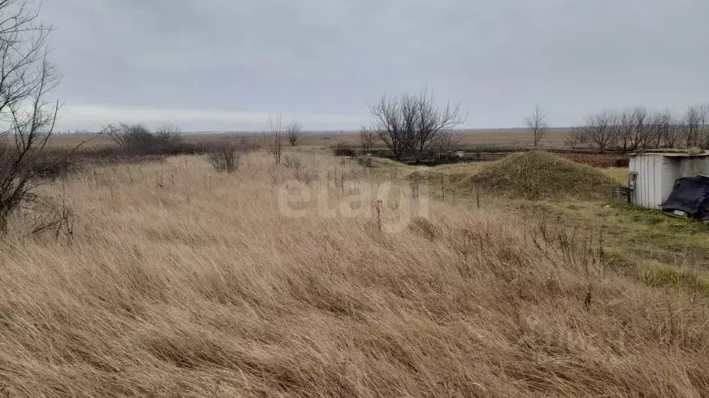 Участок в Воронежская область, Каширский район, Колодезянское с/пос, ... - Фото 1