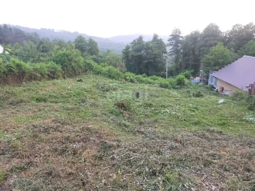 Участок в село Верхнениколаевское, садоводческое товарищество СМП-603 ... - Фото 1
