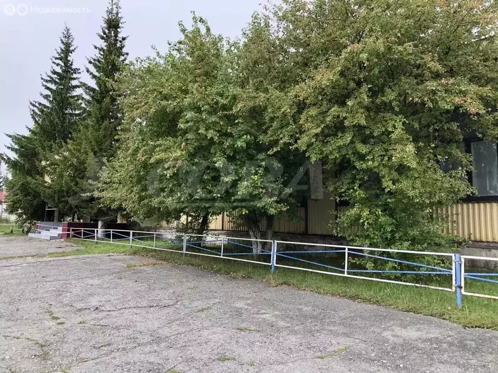 Участок в Ялуторовский район, село Киева (10 м) - Фото 0