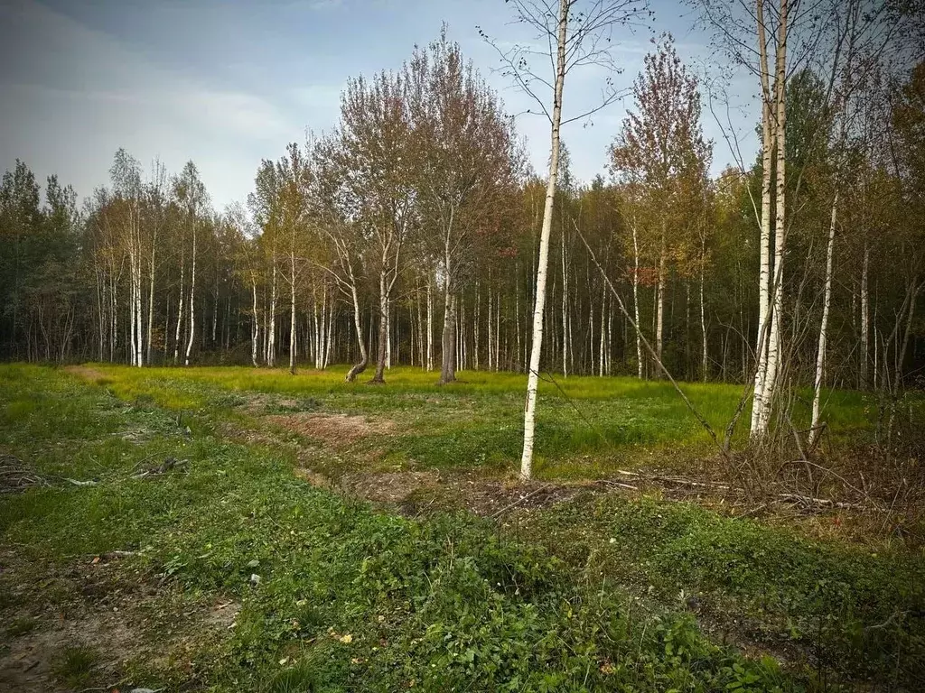 Участок в Новгородская область, Малая Вишера ул. 3-я Парковая (12.0 ... - Фото 1