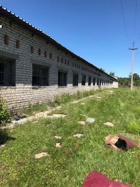 Помещение свободного назначения в Хабаровский край, Хабаровский район, ... - Фото 1