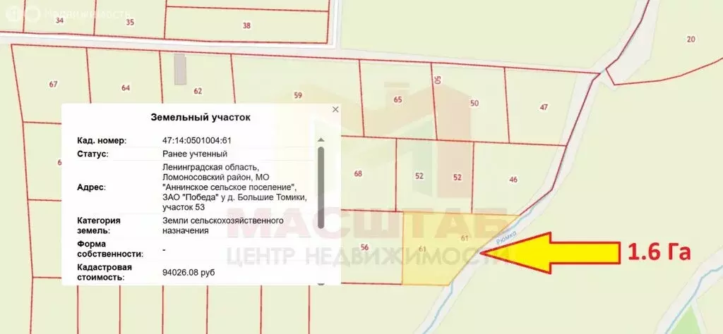 Участок в Аннинское городское поселение, деревня Большие Томики (158 ... - Фото 2