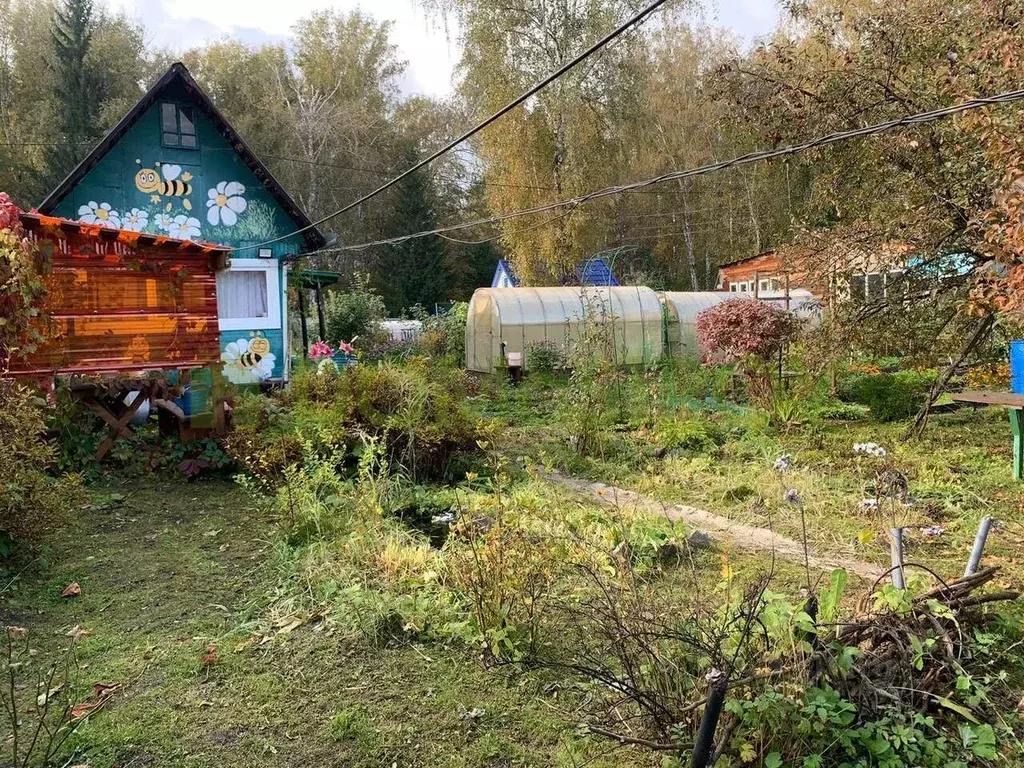 Участок в Новосибирская область, Новосибирск Садовод-Мичуринец СНТ, ... - Фото 0