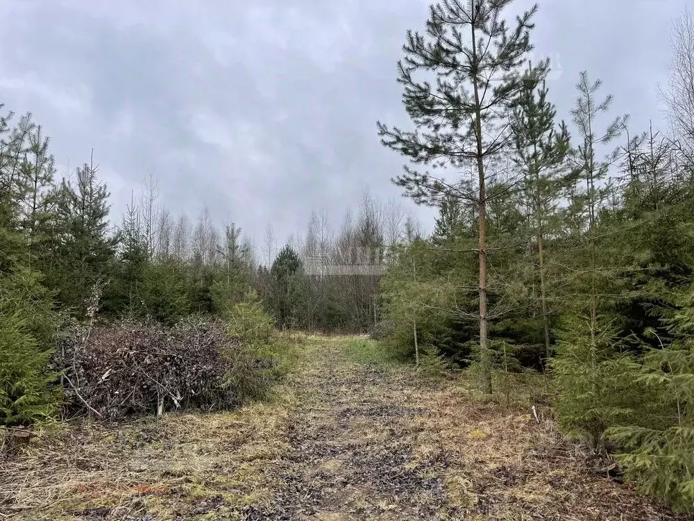 Участок в Московская область, Одинцовский городской округ, д. ... - Фото 2