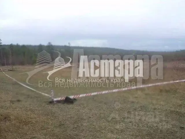 Участок в Забайкальский край, Читинский район, с. Смоленка  (15.0 ... - Фото 1