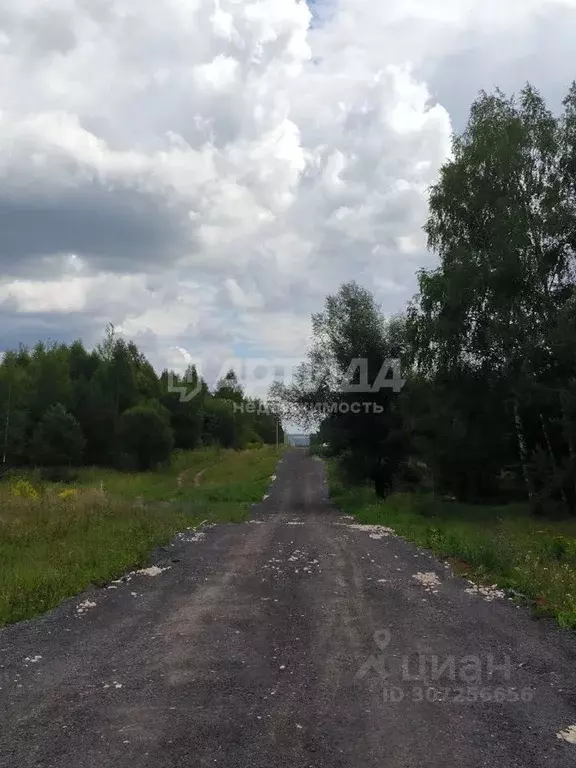 Участок в Нижегородская область, Богородский муниципальный округ, д. ... - Фото 0