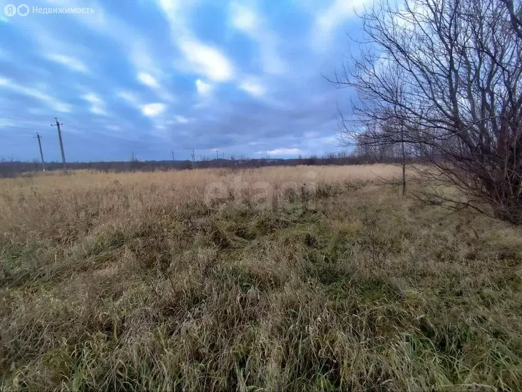 Участок в Калининградская область, Гурьевский муниципальный округ, ... - Фото 2