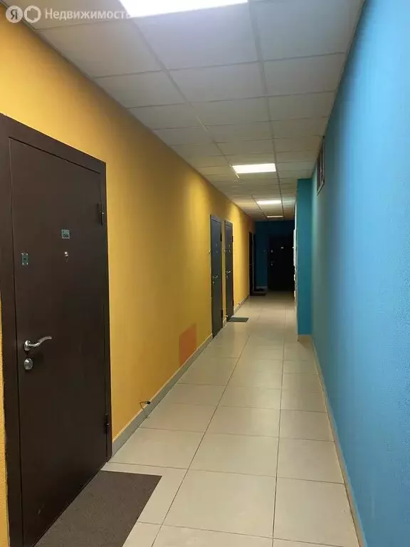 Квартира-студия: Санкт-Петербург, Плесецкая улица, 20к1 (24.9 м) - Фото 1