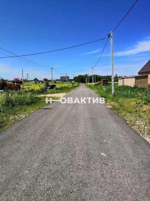 Участок в Новосибирская область, Коченевский район, с. Шагалово ... - Фото 0