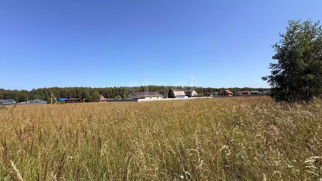 Участок в Владимирская область, Петушинский муниципальный округ, ... - Фото 1