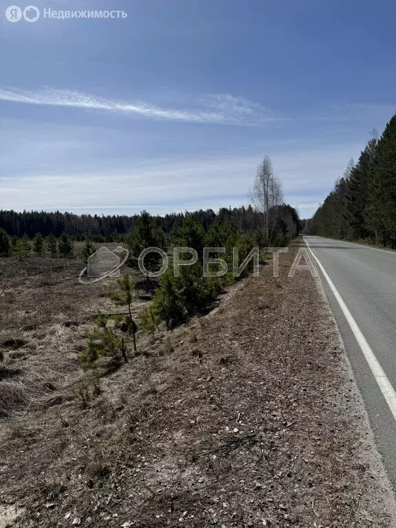 Участок в Усть-Ницинское сельское поселение, деревня Калугина, улица ... - Фото 0