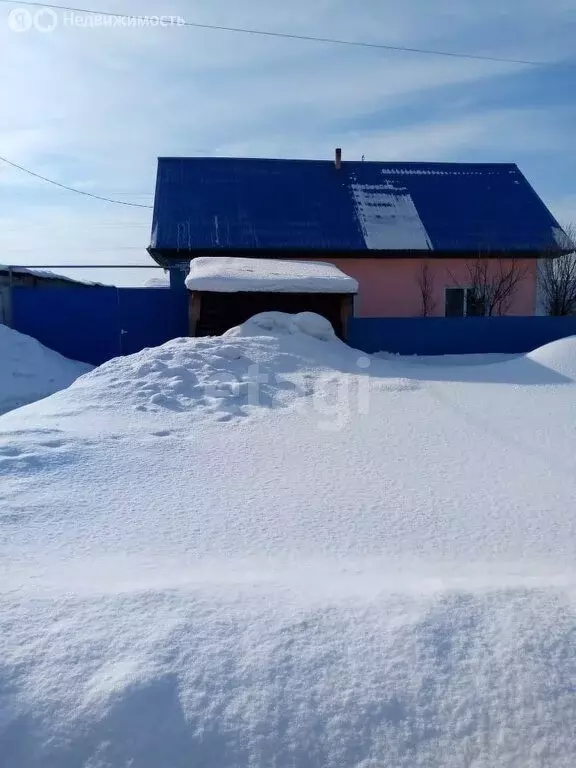 Дом в посёлок Бородино, Трудовая улица (38.5 м) - Фото 1